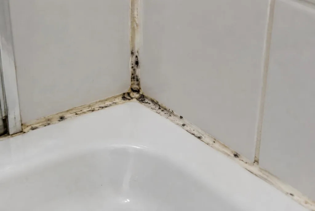 Kitbedrijf Nijkerk – beschimmelde kitranden